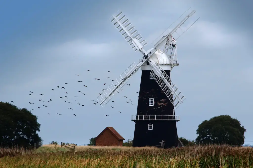 Birds Flying Near The Windmill 
