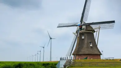 Green Fields With Winmills. Can Bats and Windmills Coexist?