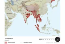 Tiger Range Map