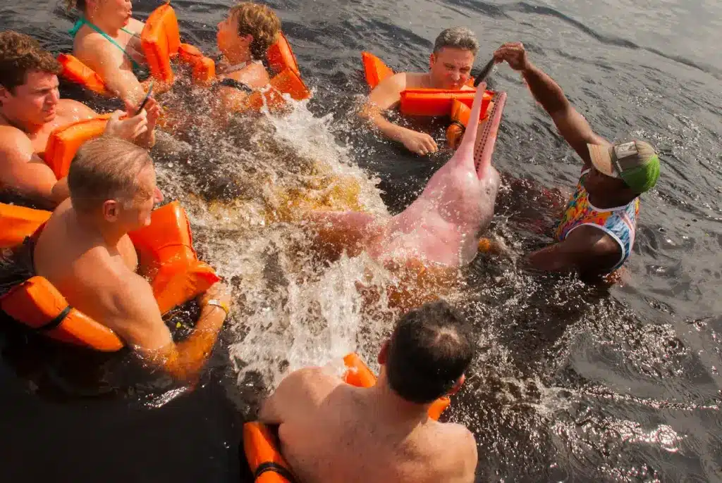 How Do Pink Dolphins Protect Themselves