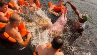 How Do Pink Dolphins Protect Themselves