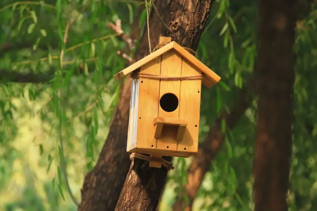 Artificial Bird Nest 