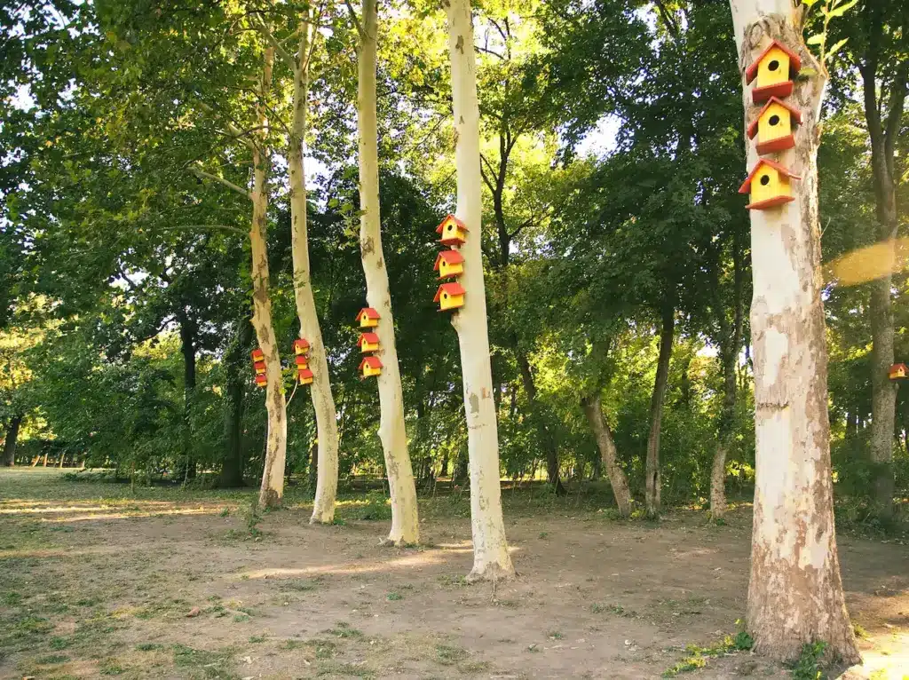 Bird Houses & Nesting Box on a Tree 