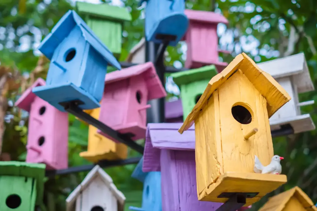 Colorful Bird Houses How to Build Bird Houses