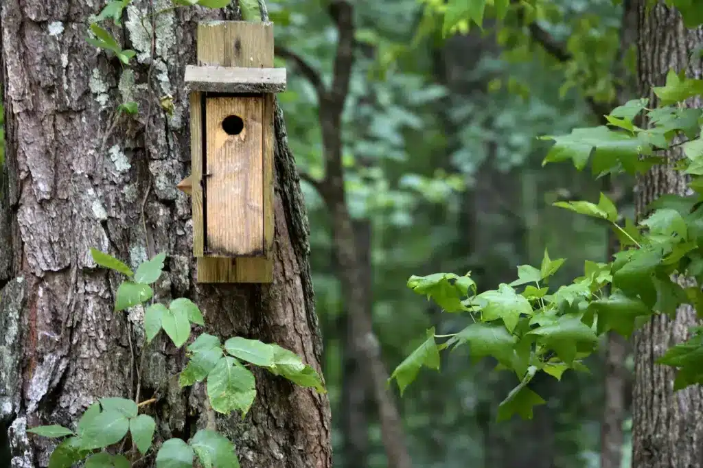 Nesting Box for Birds