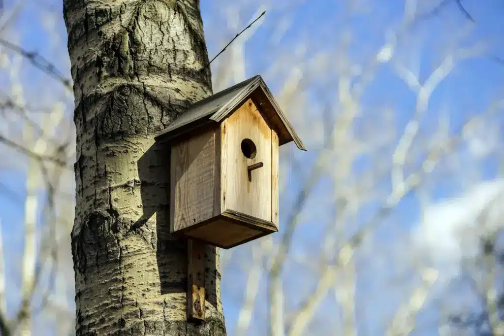 Prothonotary Warblers Nesting Box on a Tree