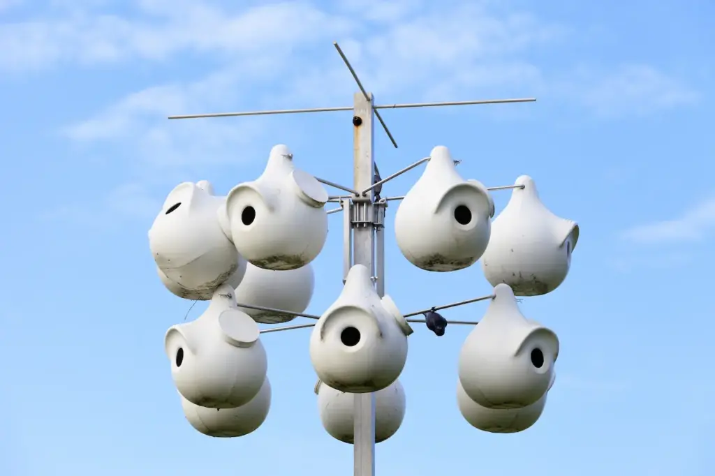 Purple Martin Gourds Rack in Front of a Blue Sky