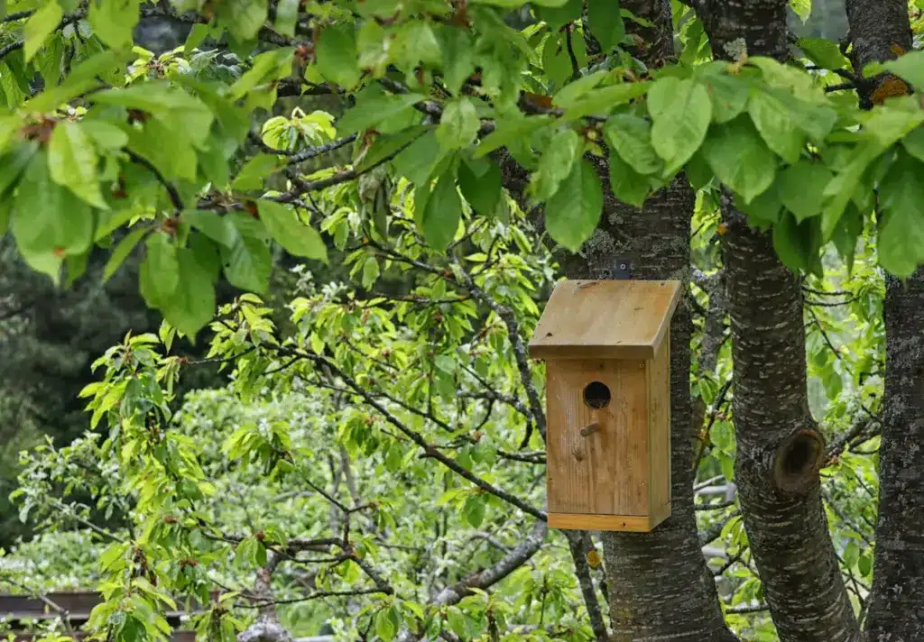 Ventilation Holes for Nest Boxes on the Tree