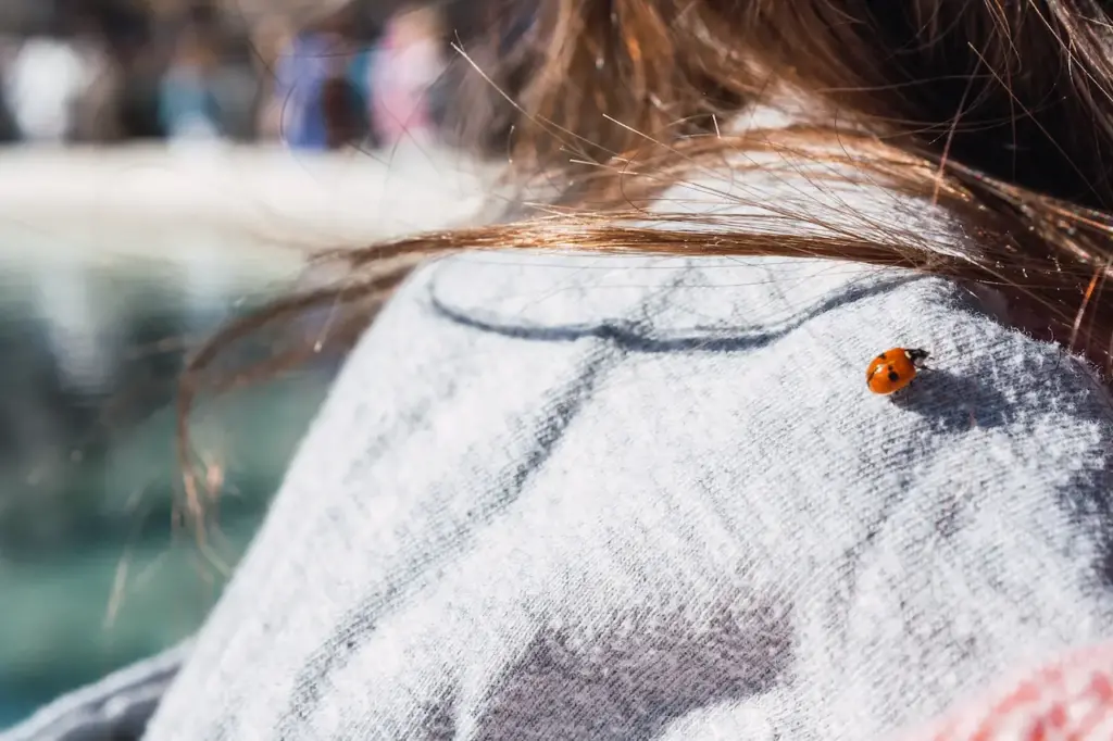 Closeup Shot of a Ladybug on a Person  Shoulder