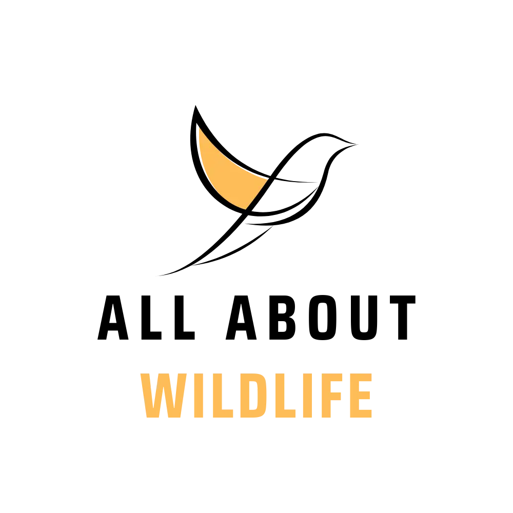 All About Wildlife logo