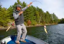 How to Catch Largemouth Bass in Summer