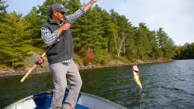 How to Catch Largemouth Bass in Summer