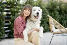How to Maintain Your Pet’s Health Lady With Dog