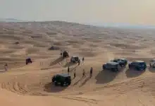 UAE Wildlife Tour of the Natural Wonders of the Emirates