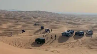 UAE Wildlife Tour of the Natural Wonders of the Emirates