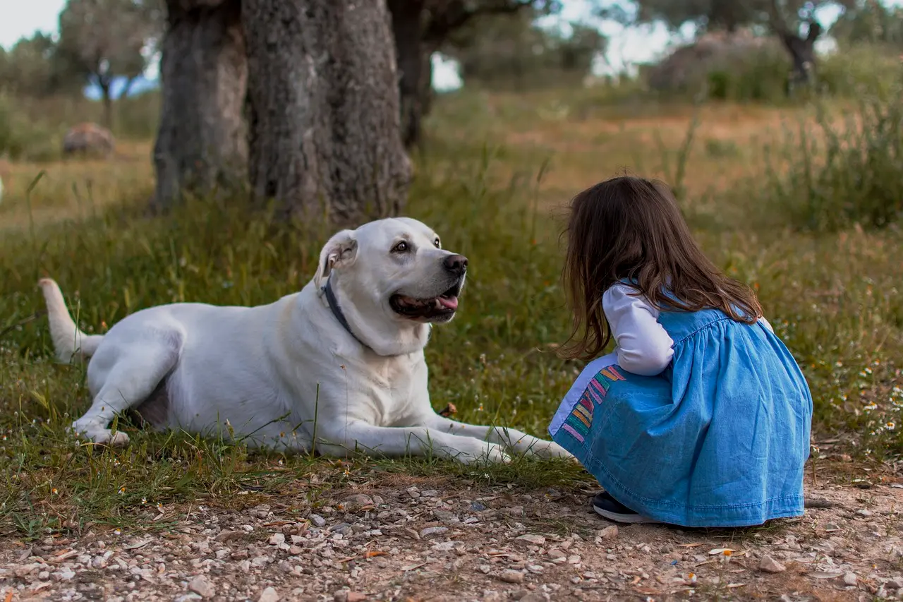 Young Girl Playing With A Big Dog