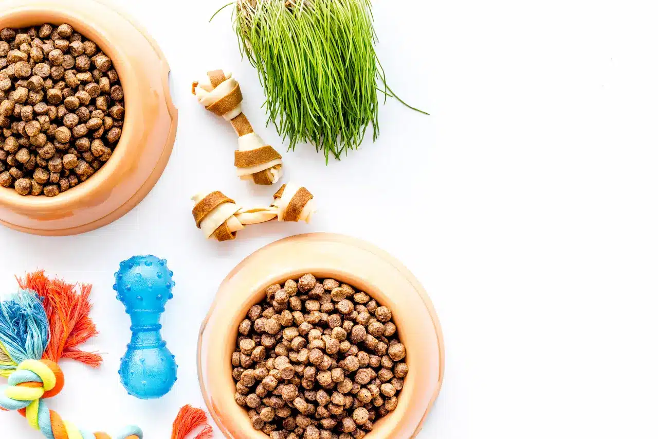 What You Should Really Be Feeding Your Pet